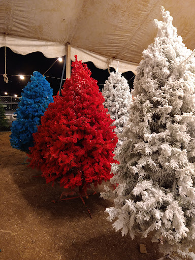 Carmona Christmas Trees