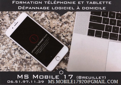 MS Mobile17 à Breuillet
