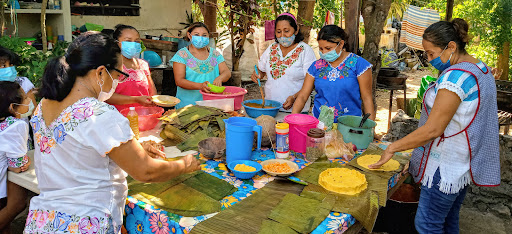 Comedor zarigüeyas ( Asociación MUSUM)