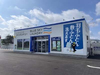 ブルースカイランドリーくすりのレデイ東津山店