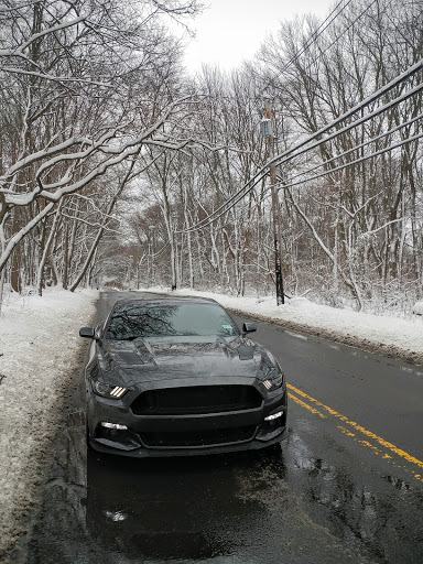 Ford Dealer «Dana Ford Lincoln», reviews and photos, 266 West Service Road, Staten Island, NY 10314, USA