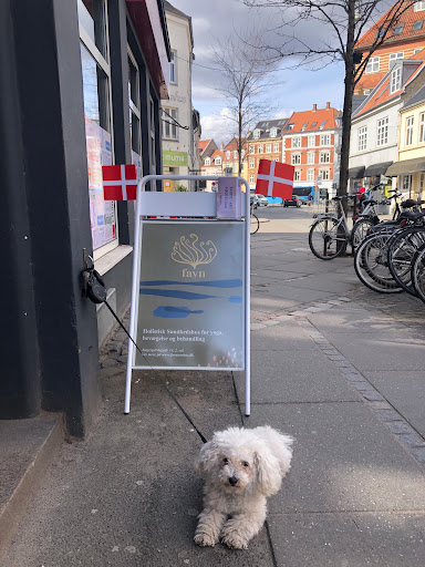 LevYoga in Aarhus, Aarhus