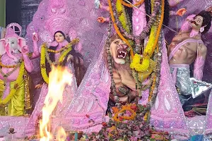Pallisree Kali Mandir image