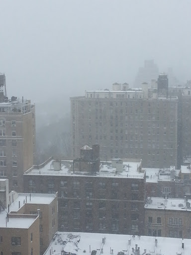 Movie Theater «Film Forum», reviews and photos, 209 W Houston St, New York, NY 10014, USA