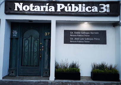 Notaria Pública 31 Querétaro