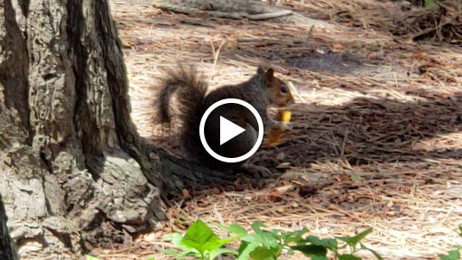 Supermarket «Boom Supermarkets», reviews and photos, 3601 Ventnor Ave, Atlantic City, NJ 08401, USA