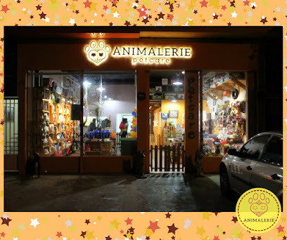 Animalerie PetCare - Veterinário Itaquera Cidade Líder São Paulo