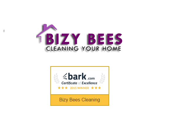 Bizy Bees Cleaning - House cleaning service