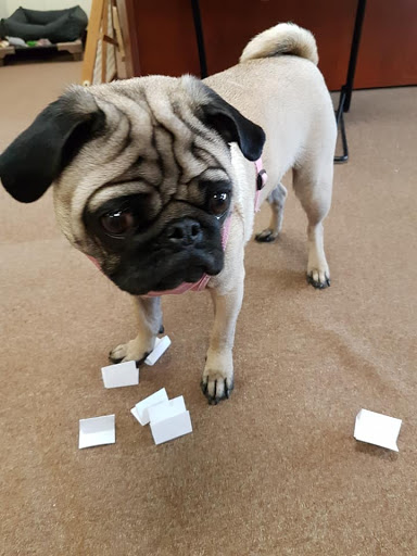 Insurance Agency «Allstate Insurance Agent: Tracie Bibb», reviews and photos