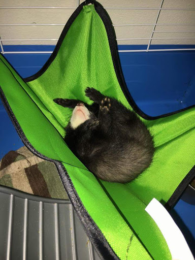 Pet Supply Store «CountryMax - Geneseo», reviews and photos, 4101 Lakeville Rd, Geneseo, NY 14454, USA