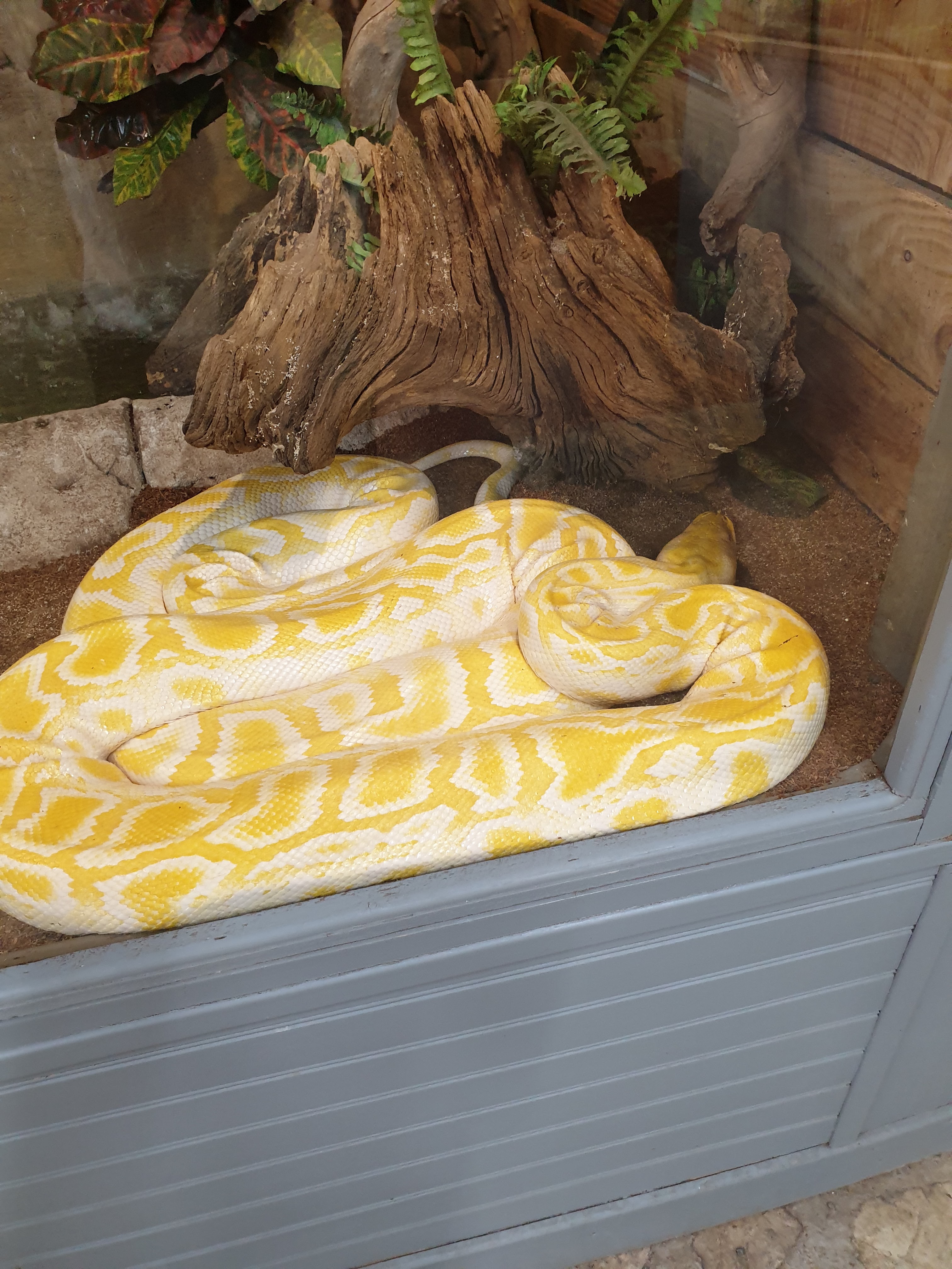 Photo n° 4 de l'avis de Théo.e fait le 14/05/2022 à 14:15