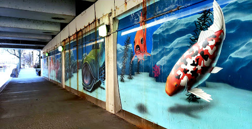 State Park «White River State Park», reviews and photos, 801 W Washington St, Indianapolis, IN 46204, USA