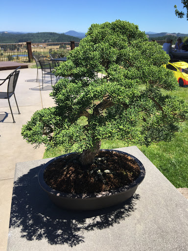 Winery «Sarver Winery», reviews and photos, 25600 Mayola Ln, Eugene, OR 97402, USA