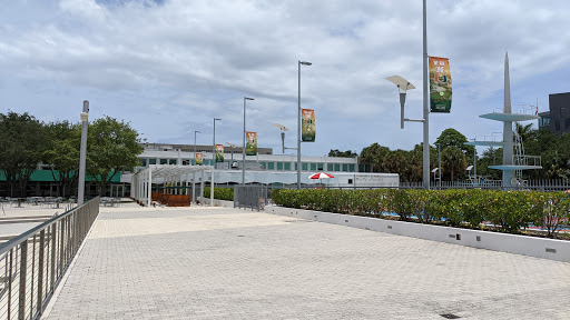 Book Store «University of Miami Bookstore», reviews and photos, 1306 Stanford Dr, Coral Gables, FL 33146, USA