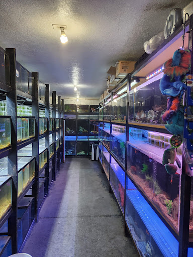 Aquatica Aquarium Gallery