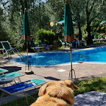 Photo n°7 de l'avis de mobile.u fait le 06/09/2022 à 07:53 sur le  Hotel Coste à Limone sul Garda