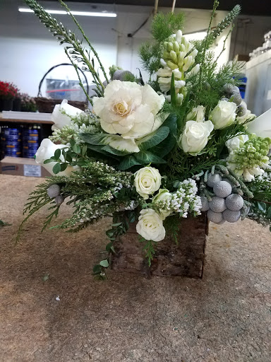 Florist «Axelrod Flowers», reviews and photos, 4429 Whitaker Ave, Philadelphia, PA 19120, USA