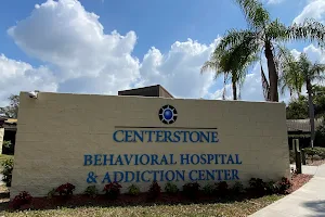 Centerstone Behavioral Hospital and Addiction Center image