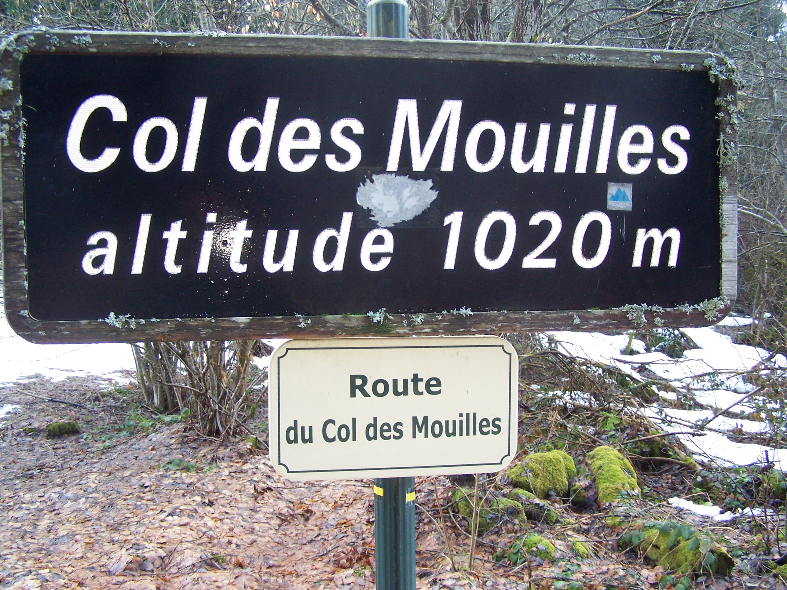 Photo n° 2 de l'avis de Jean-Yves.E fait le 19/02/2022 à 12:18