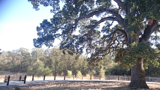 Nature Preserve «Stock Ranch Open Space», reviews and photos, 6462 Cedar Ranch Drive, Citrus Heights, CA 95621, USA