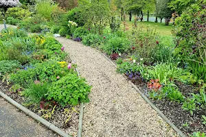 Jubilee Sensory Garden image