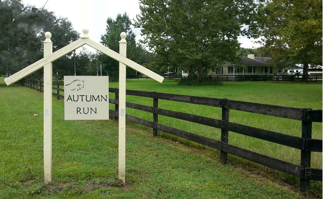 Autumn Run Ranch