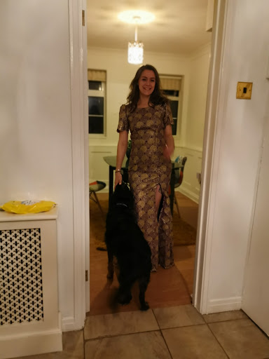 Tour Agency «Royal Tours & Travel Inc», reviews and photos, 11943 Bissonnet St, Houston, TX 77099, USA