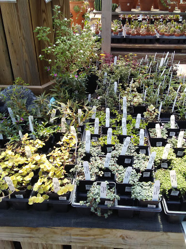 Garden Center «Trail Gardens», reviews and photos, 154 Gordon Nagle Trail, Pottsville, PA 17901, USA
