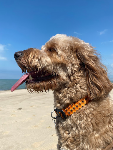 Zoo «Washington Park Zoo», reviews and photos, 115 Lake Shore Dr, Michigan City, IN 46360, USA