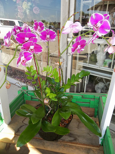 Florist «Cypress Florist», reviews and photos, 4136 Lincoln Ave, Cypress, CA 90630, USA