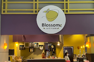 Blossom Juicy Bar (Dayton Mall) image
