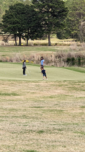 Golf Course «Pine Dunes Golf Course», reviews and photos, 159 Private Rd 7019, Frankston, TX 75763, USA