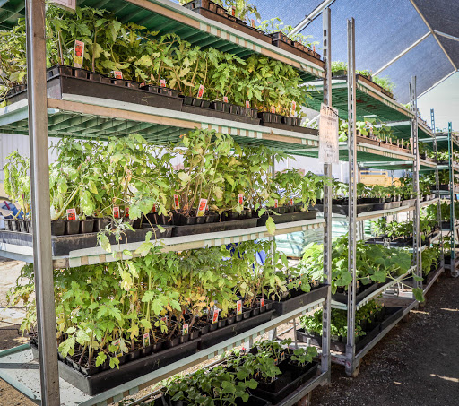 Pet Supply Store «Sutter Orchard Supply», reviews and photos, 573 Bridge St, Yuba City, CA 95991, USA