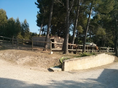 SCP Martin Et Associes à Saint-Cannat