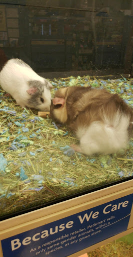 Pet Supply Store «PetSmart», reviews and photos, 5640 Cedar Lake Rd, Minneapolis, MN 55416, USA