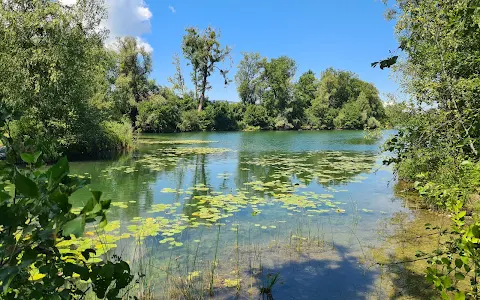 Alter Rhein Naherholungsgebiet image