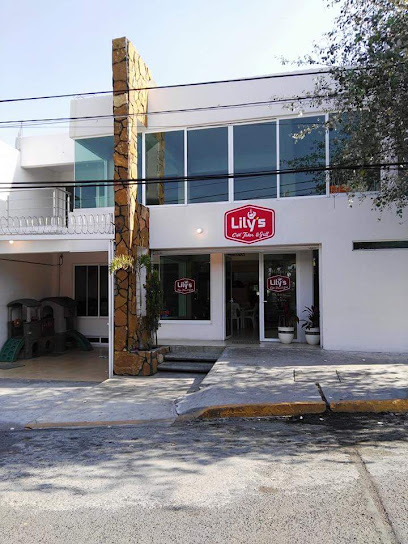 Kasa Lily,s - Lago Bolsena Manzana 013, Los Manantiales, 54420 Villa Nicolás Romero, Méx., Mexico