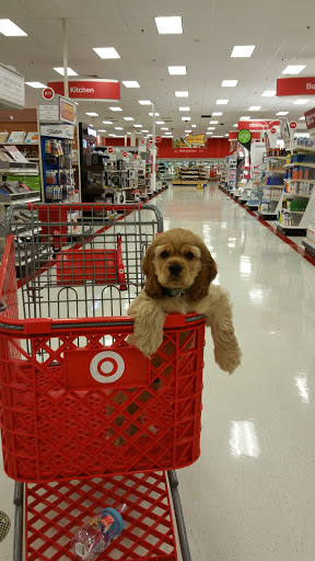 Department Store «Target», reviews and photos, 900 East Lake Rd S, Palm Harbor, FL 34685, USA