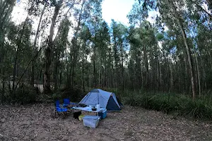 Bull Creek Camp image