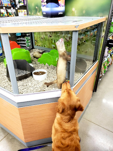 Pet Supply Store «Petco Animal Supplies», reviews and photos, 1011 University Blvd #100, Suffolk, VA 23435, USA