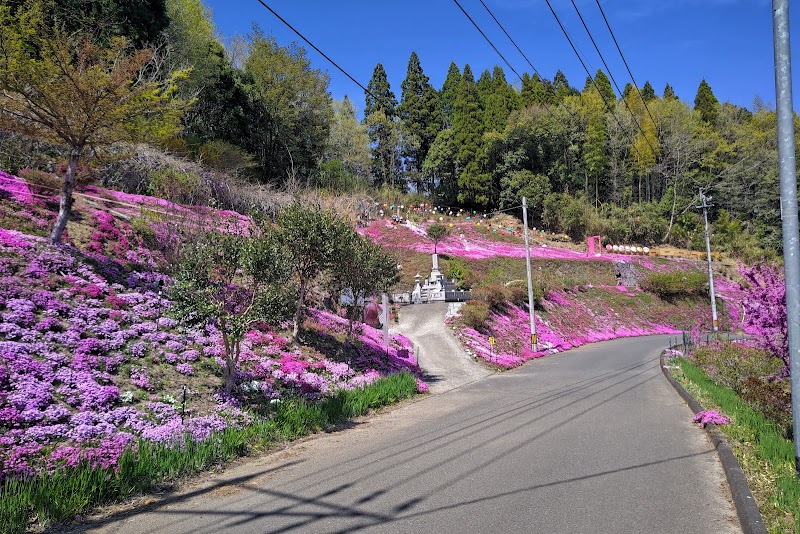 足立直芝桜園