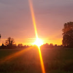 Photo n°1 de l'avis de Alessandra.e fait le 29/06/2019 à 11:55 sur le  Le Reali S.N.C. Di Ogliari Elisabetta E Salviti Cinzia à Trescore Cremasco