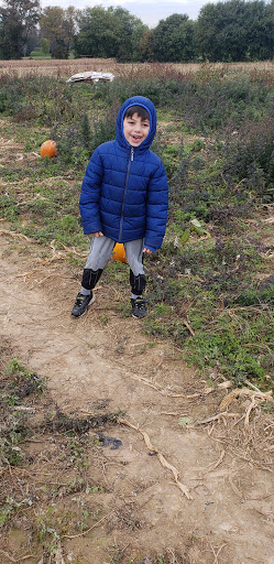 Produce Market «Solly Brothers», reviews and photos, 707 Almshouse Rd, Warminster, PA 18974, USA