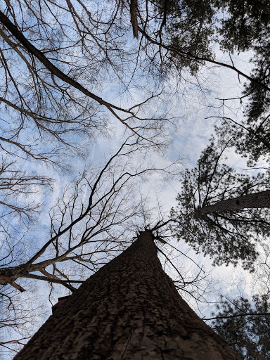 Nature Preserve «Blue Heron Nature Preserve», reviews and photos, 4055 Roswell Rd NE, Atlanta, GA 30342, USA