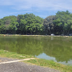 Photo n°3 de l'avis de anna.r fait le 01/05/2024 à 12:13 sur le  i piaceri del palato à Rome