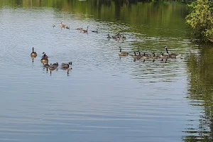 Lake Storey image