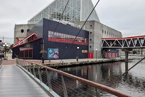 Marine Mammal Pavilion image