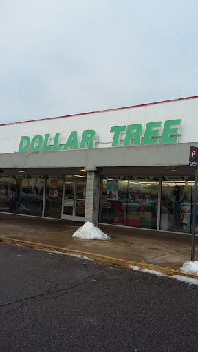 Dollar Store «Dollar Tree», reviews and photos, 1732 Dix Hwy, Lincoln Park, MI 48146, USA