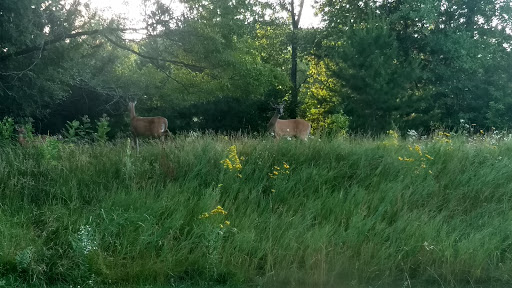 Public Golf Course «Princeton Valley Golf Course», reviews and photos, 2300 W Princeton Ave, Eau Claire, WI 54703, USA