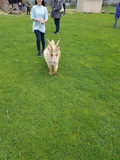 Farm «The Belmont Goats», reviews and photos, 9330 SE Harold St, Portland, OR 97266, USA